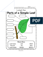 Worksheet Parts of the Leaf