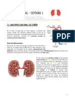 Compilado Renal 2020