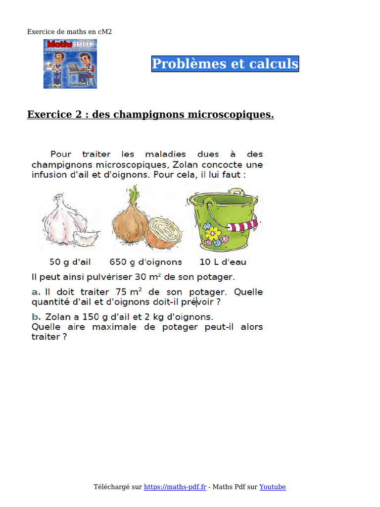 Problèmes de maths pour CM2 à imprimer | PDF | Méthodes et références ...