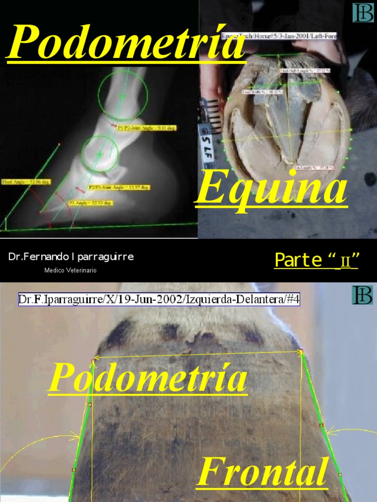 Podometría Equina: Medición Frontal | PDF | Tierra | Science