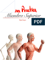 MS Superior Guia Anatomía Práctica