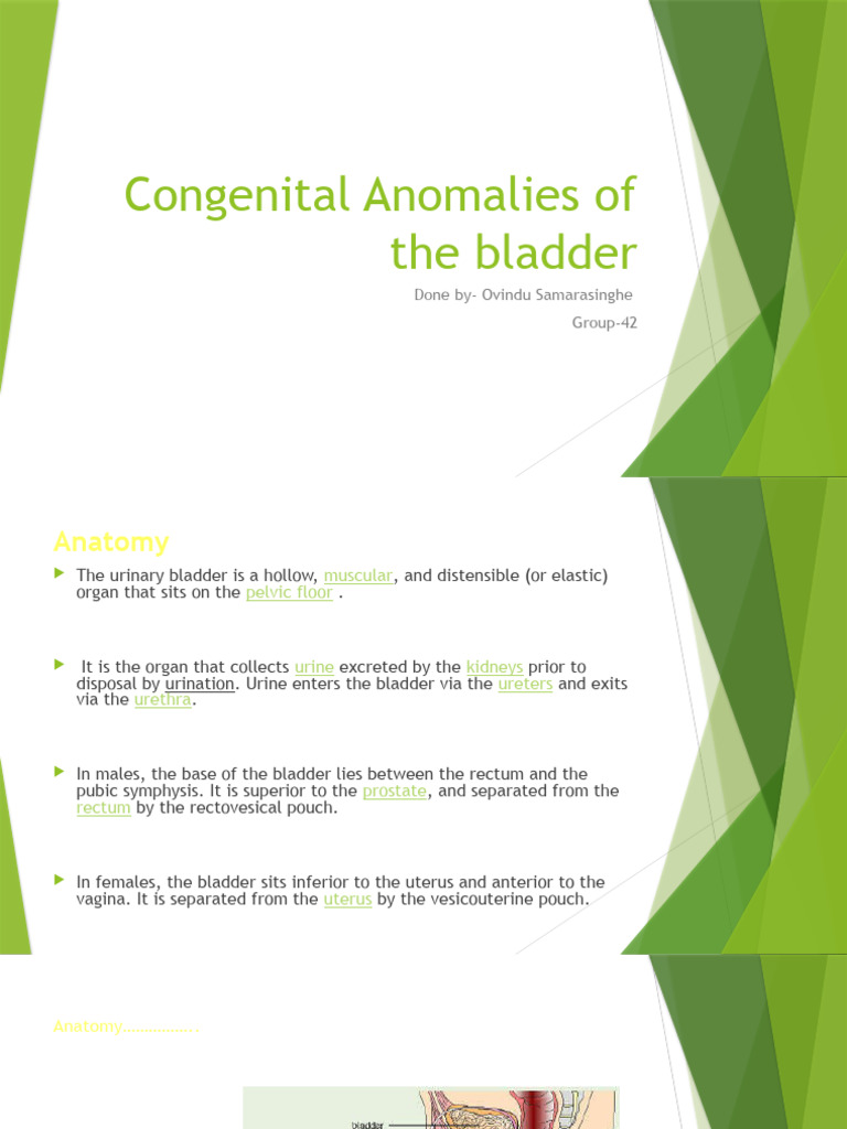 Congenital Bladder Anomalies Overview | PDF