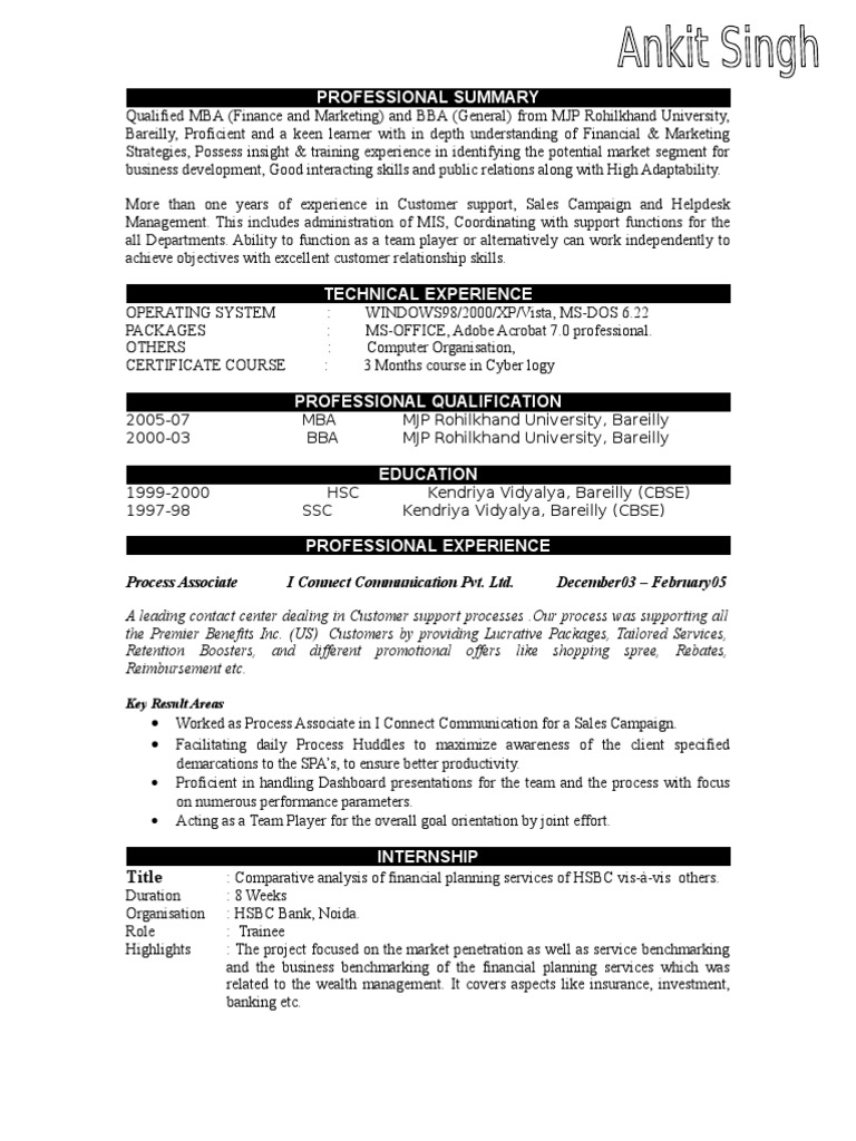 Professional Summary Download Free PDF Marketing Business