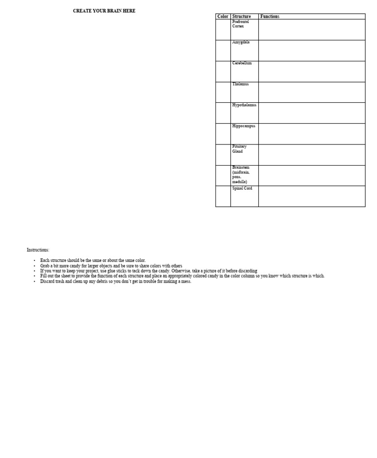 Build Your Brain Model with Candy | PDF