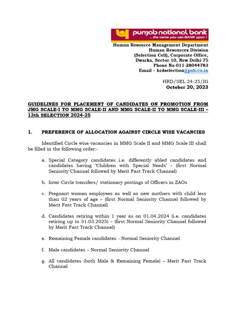 Promotion Placement Guidelines 2024-25 | PDF | Business | Finance ...