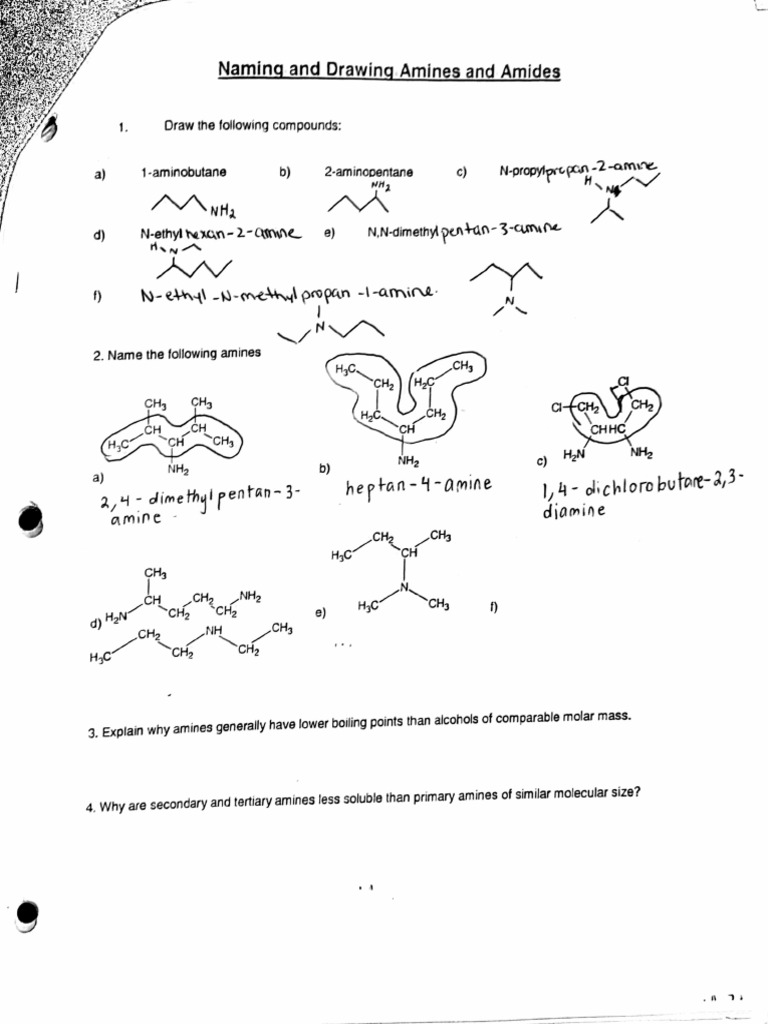 Naming and drawing amines and amides pdf