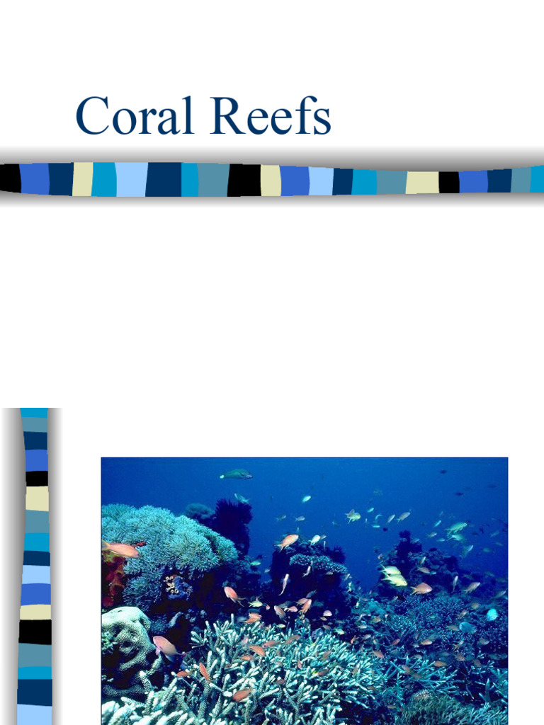 The Coral Reef Ecosystem | PDF | Home & Garden