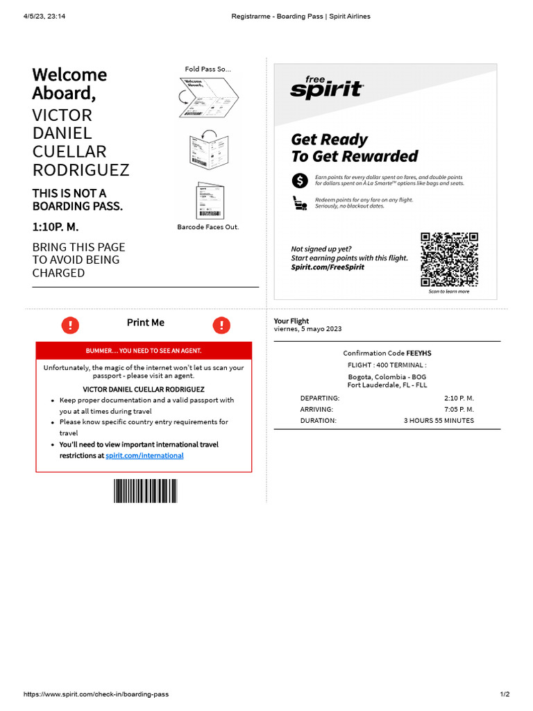 Check in Boarding Pass Spirit Airlines PDF