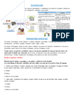 EL LENGUAJE NIVELES Y VICIOS - Tema de Examen de Español