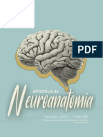 Apostila de Neuroanatomia LK - Thalmom Lopes 82_230919_072154