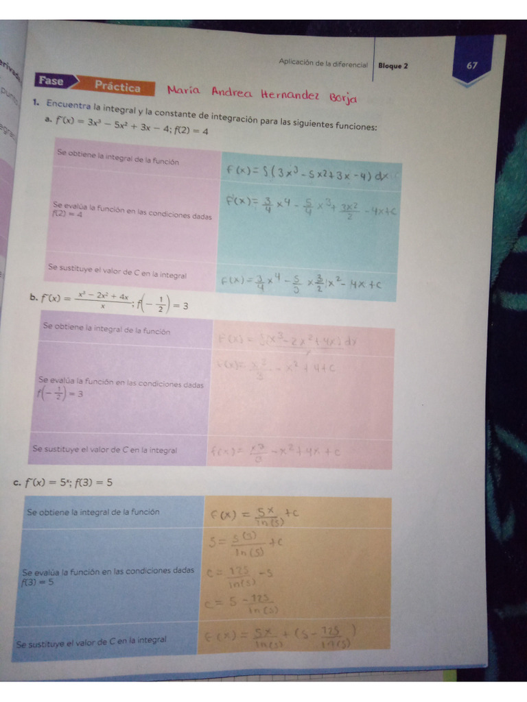 Calculo de La Constante de Integracion. | PDF
