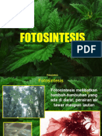 Fotosintesisi