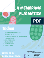 Presentación de La Membrana Plasmática