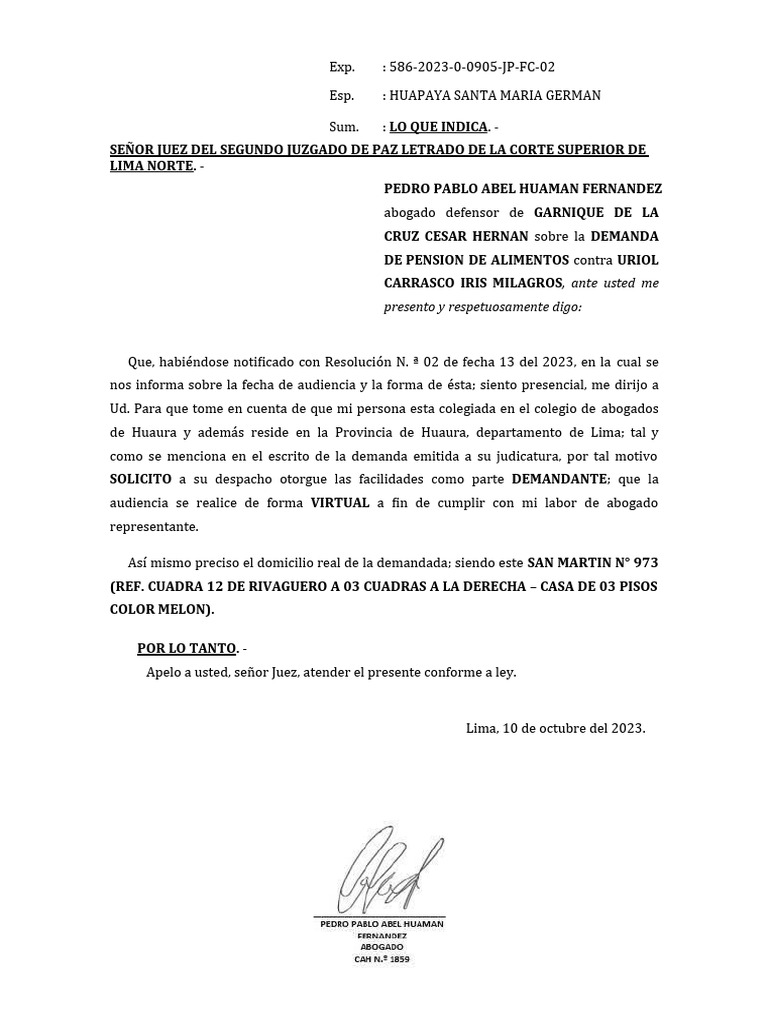 Solicitud Audiencia Virtual Pdf