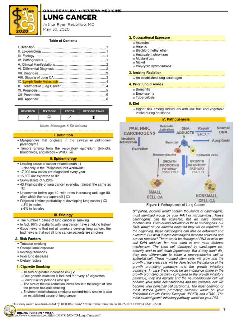 Lung Cancer Overview and Management Guide | PDF | Lung Cancer | Carcinogen