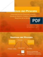 Destino Del Piruvato-Bqca Alimentos