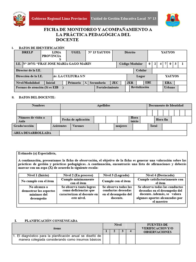 Ficha de Monitoreo Docente 2023 | PDF