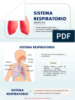 Sistema Respiratorio - Semiologia Final