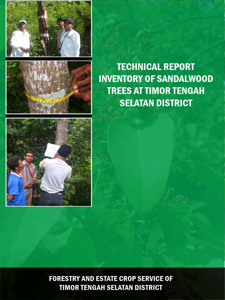 Sandalwood Tree Inventory Report | PDF