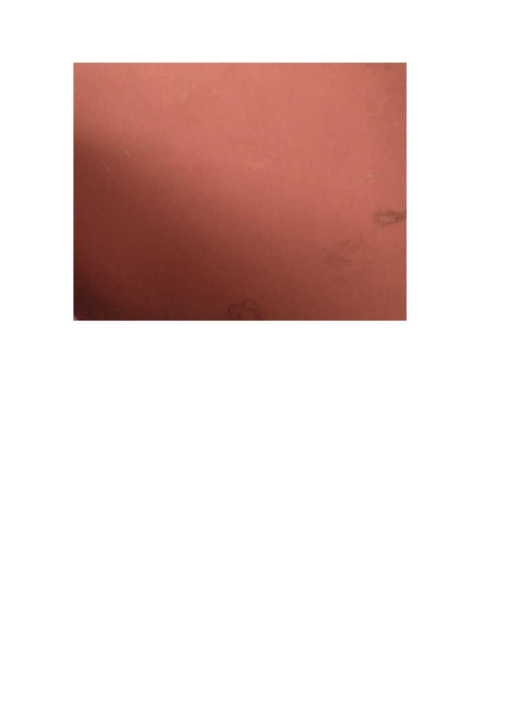 5446 | PDF