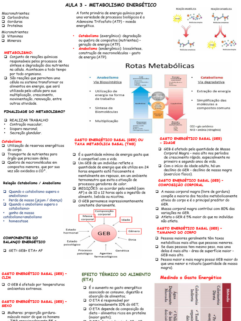 Aula 3 - Metabolismo Energético | PDF | Metabolismo | Trifosfato de ...