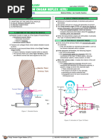 104 - Neurology Physiology) Spinal Cord - Golgi Tendon Organ Reflex (GTO)