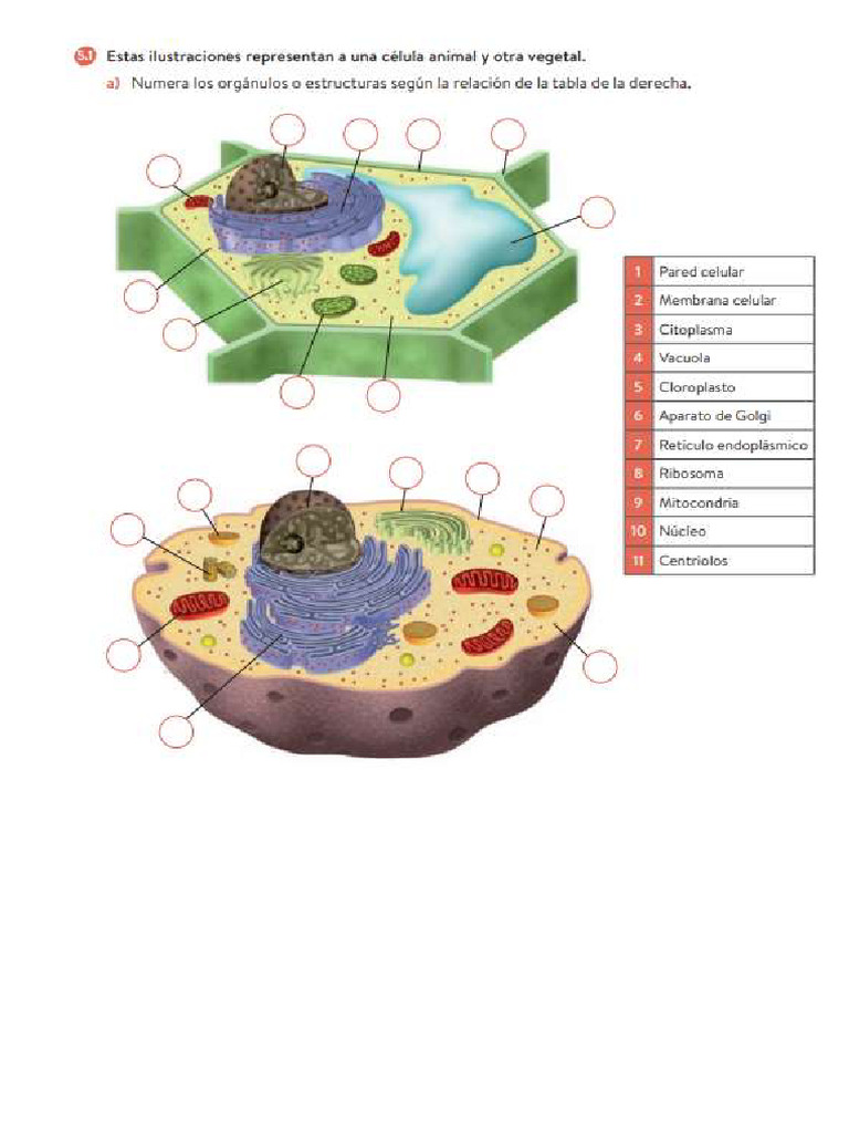 celula-adapt-oxford-geniox-4-pdf
