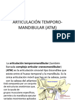 Articulación Temporo-Mandibular (Atm)