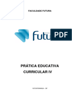 Pratica-Educativa-Curricular - Iv