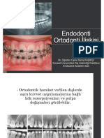 Endo-Orto Ili Kisi