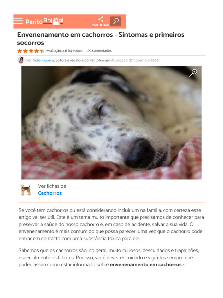 Envenenamento Em Cachorros - Sintomas e Primeiros Socorros | PDF ...