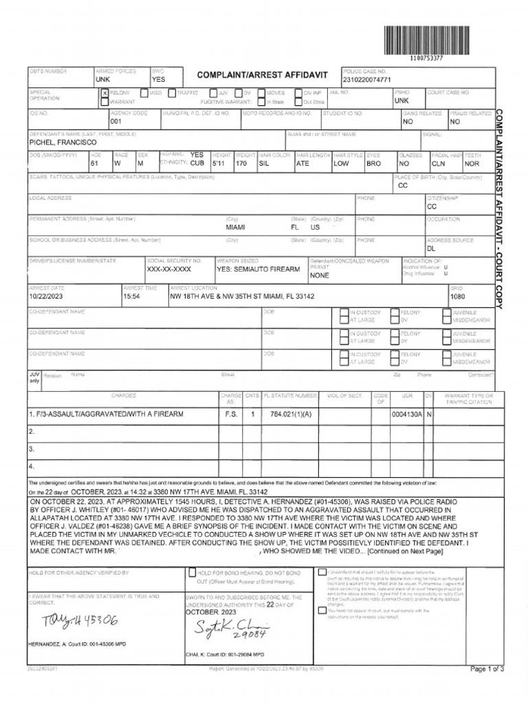Francisco Pichel arrest form | PDF