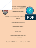 Las 11 Funciones Esenciales de La Salud Publica-Gabriel Eduardo Bustillo Cruz - 20181030229