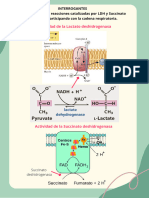 Práctica Bioquímica