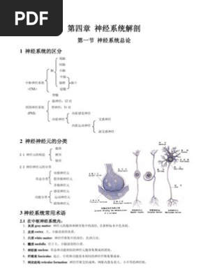 Neurobiology Chapter 4 Pdf