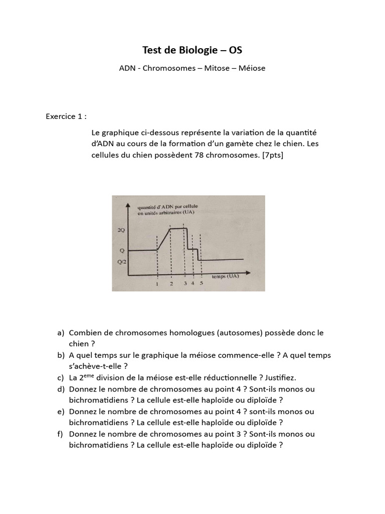 Chromosomes et ADN chez le chien PDF Cellule (Biologie) Chromosome — free download