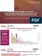 Informe Etv - Se 382022