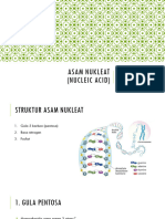 Asam Nukleat - Sintesis Protein - Ekspresi Gen