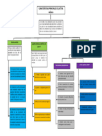 Mapa Conceptual