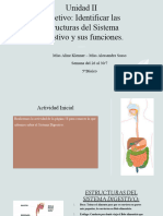 Documento PDF