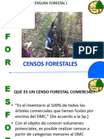 Censo Forestal