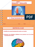 8e. Áreas Funcionales Del Cerebro