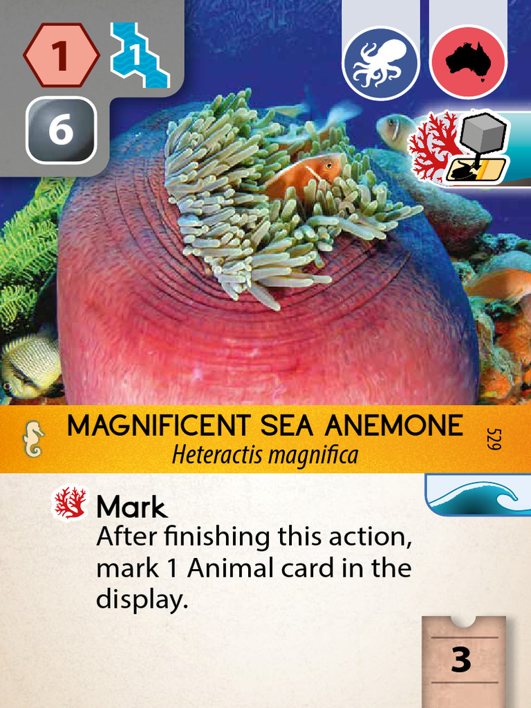 An Exp 1 AllCards en PDF Zoo Zoology