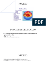 Diapositavas Decimo 23-24