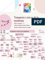 Mapa Transporte A Travez de La Menbrana
