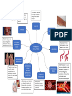 Mapa Mental Problemas Circulatorios