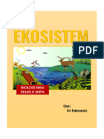 Eko Sistem