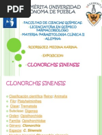 Clonorchis