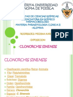 Clonorchis