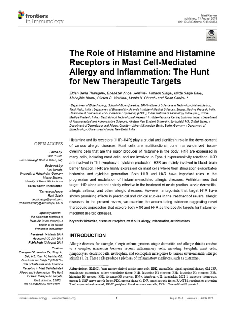 Role Histamine Mast Cell in Allergy | PDF | T Helper Cell | Inflammation